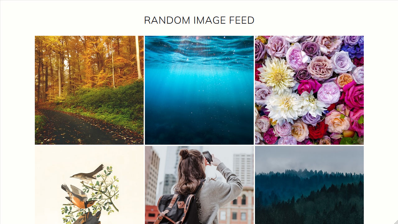 Random Image Feed project thumbnail