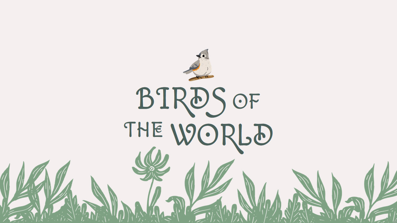 Birds of the World project thumbnail